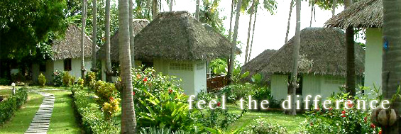 Lamai Bay View Resort