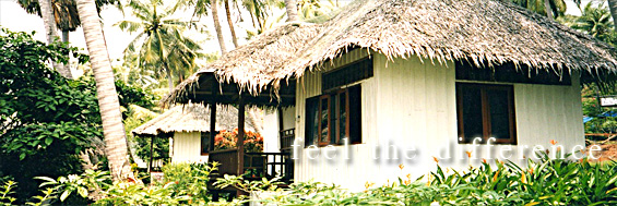 Standard Bungalow