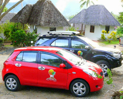 Car Rental
