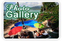 Photo Gallery